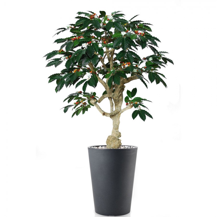 Planta semi-artificiala Ila, Coffee Crown Green - 180 cm